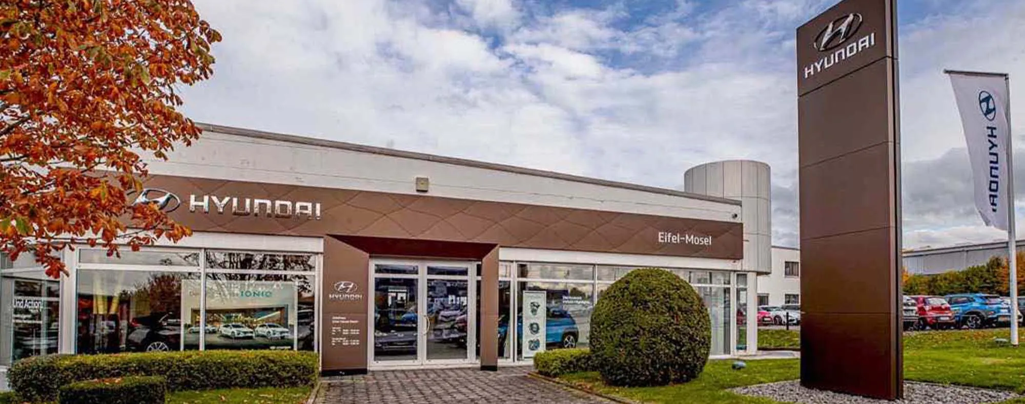 Bitburg Toyota | Hyundai | Lexus